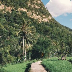 Tiket Masuk Desa Wisata Rantih