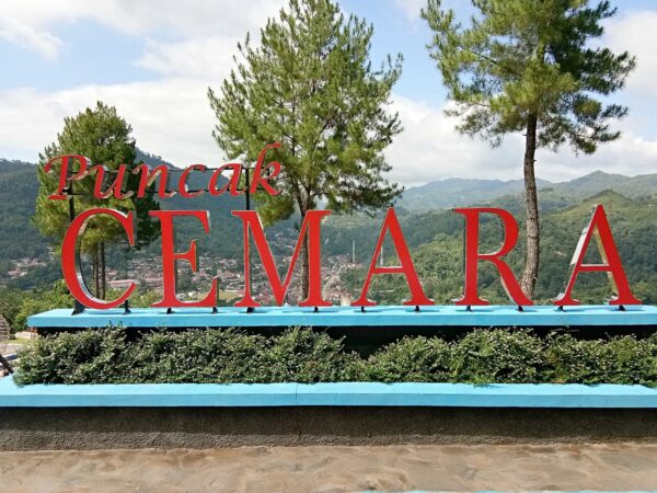 Tiket Masuk Puncak Cemara